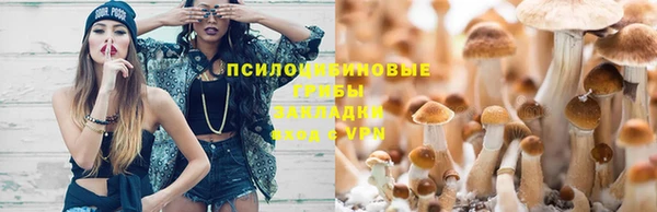 СК Сафоново