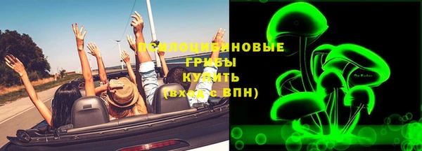 СК Сафоново