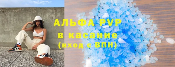 СК Сафоново