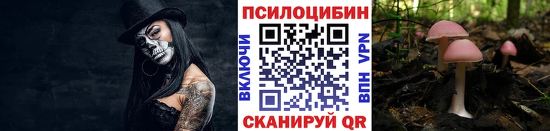 Купить закладки Иланский Псилоцибиновые грибы Cubensis